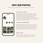 50 Modern Organic Home Stock Photos