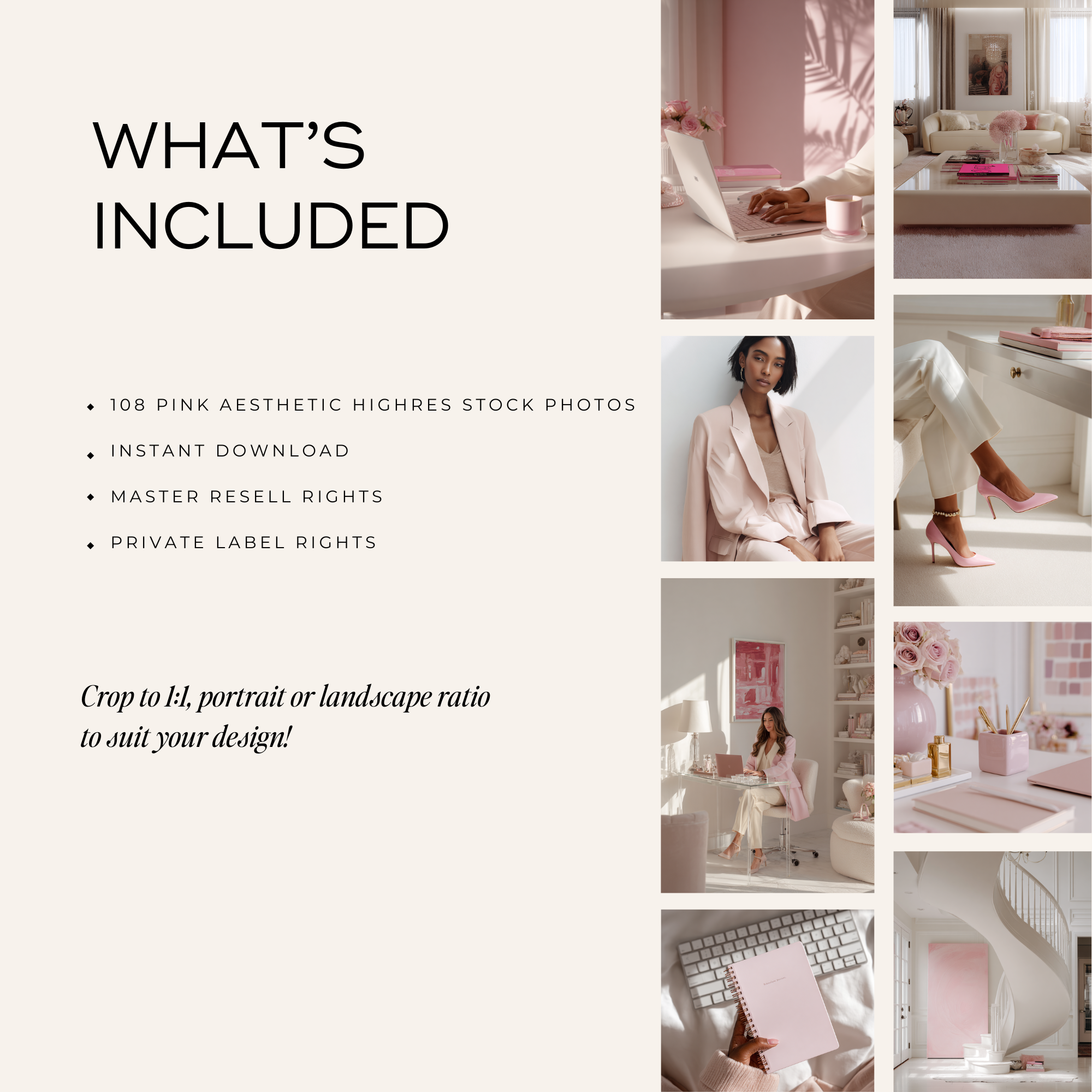 105 Pink Boss Stock Photos