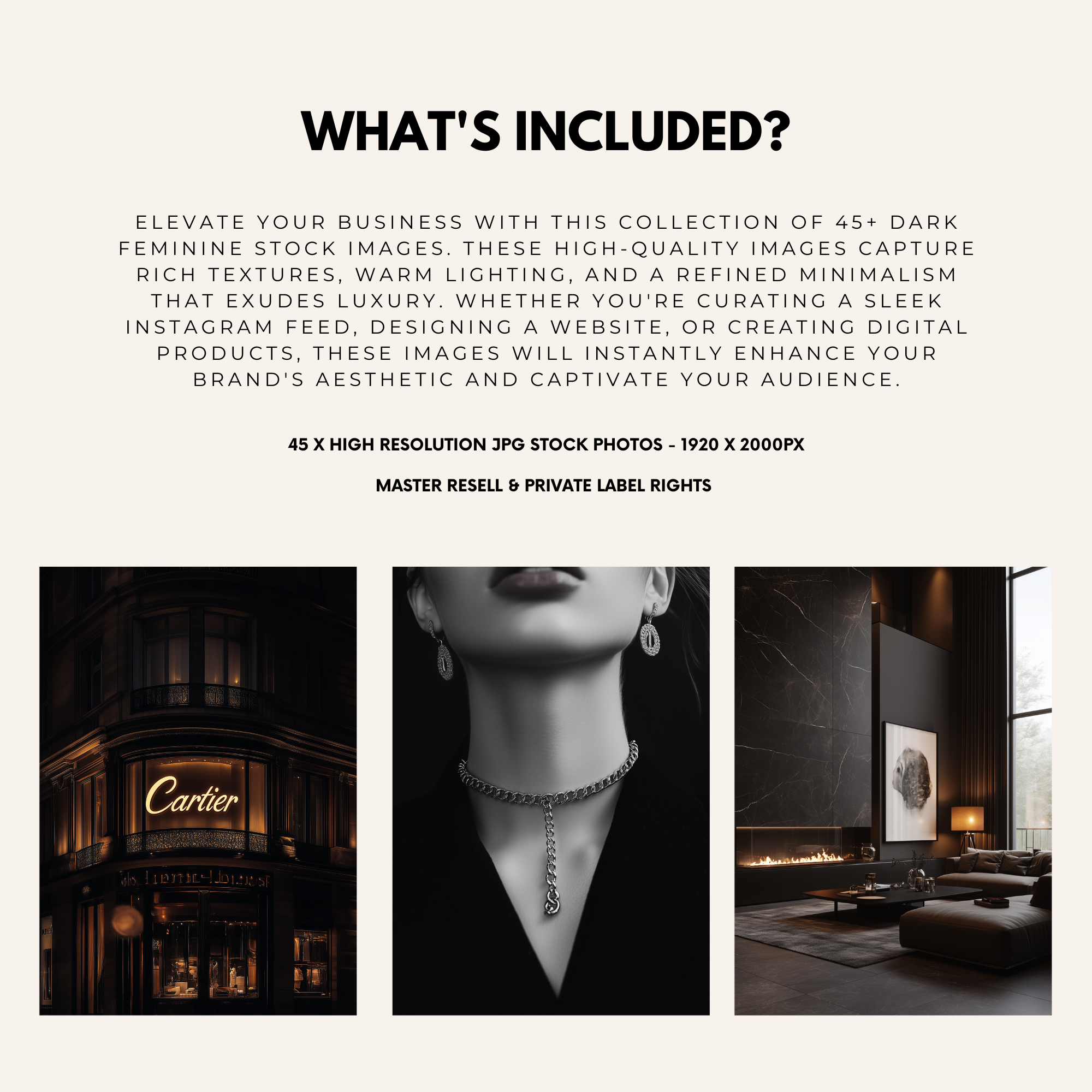 Overview of what's included in the 45 Dark Luxury Stock Images bundle. Highlights high-resolution JPGs for branding, social media, and digital products.