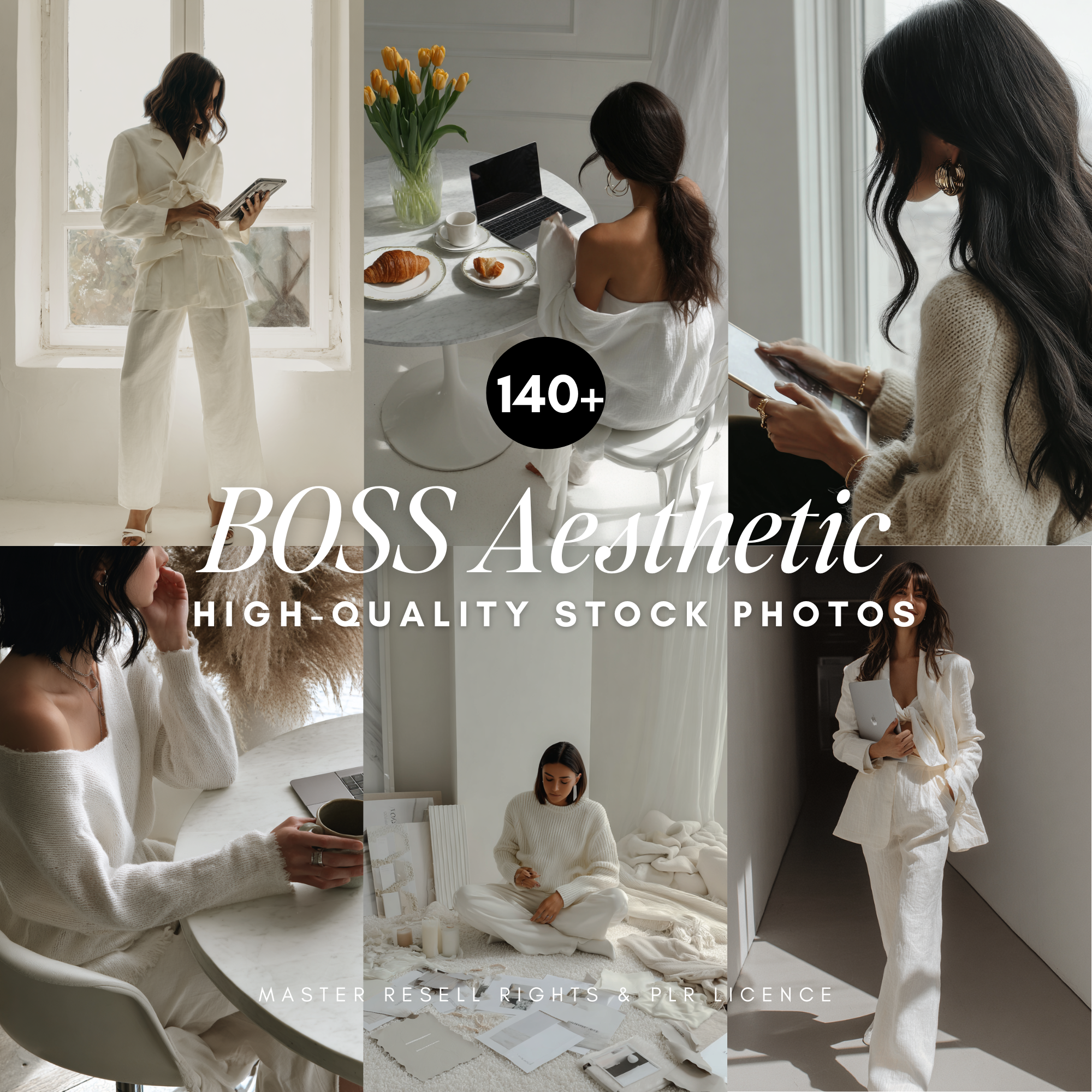 140 Brunette Boss Stock Photos